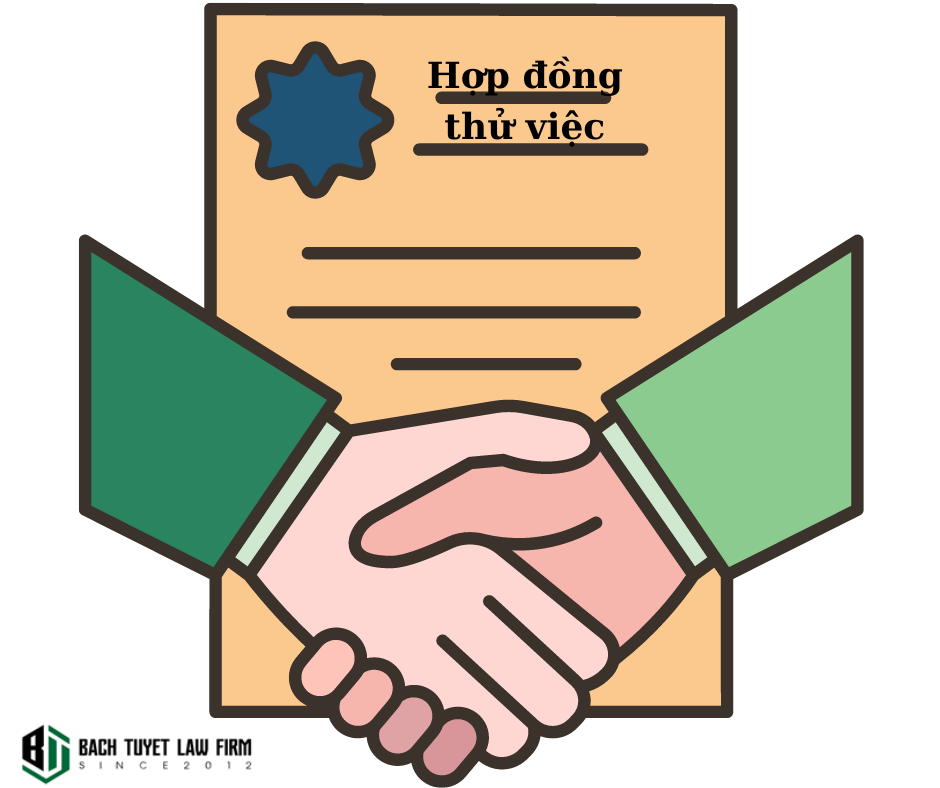 Hãng Luật Bạch Tuyết