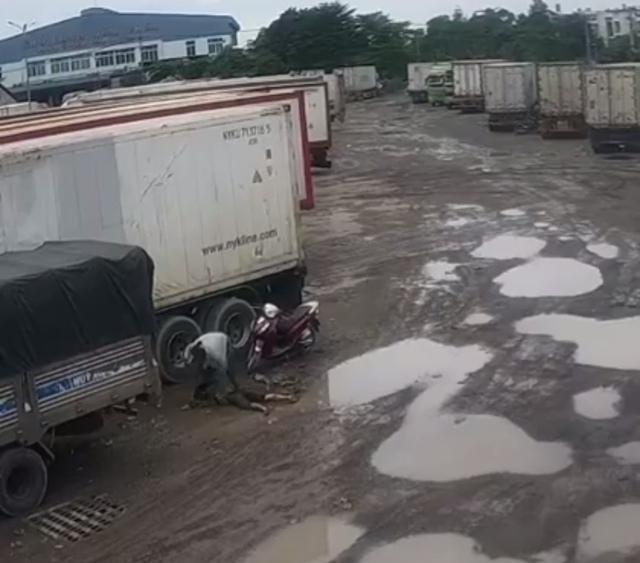 Hãng Luật Bạch Tuyết