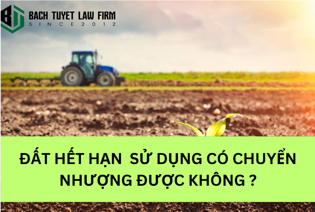 Hãng Luật Bạch Tuyết