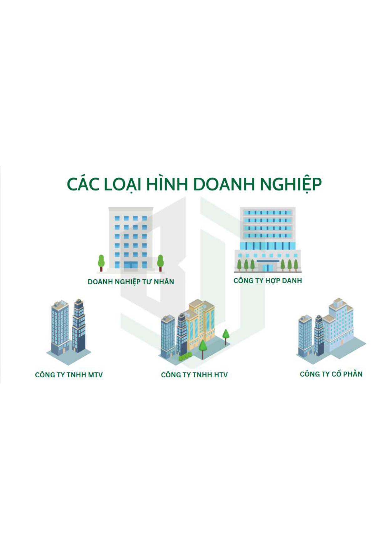 Hãng Luật Bạch Tuyết